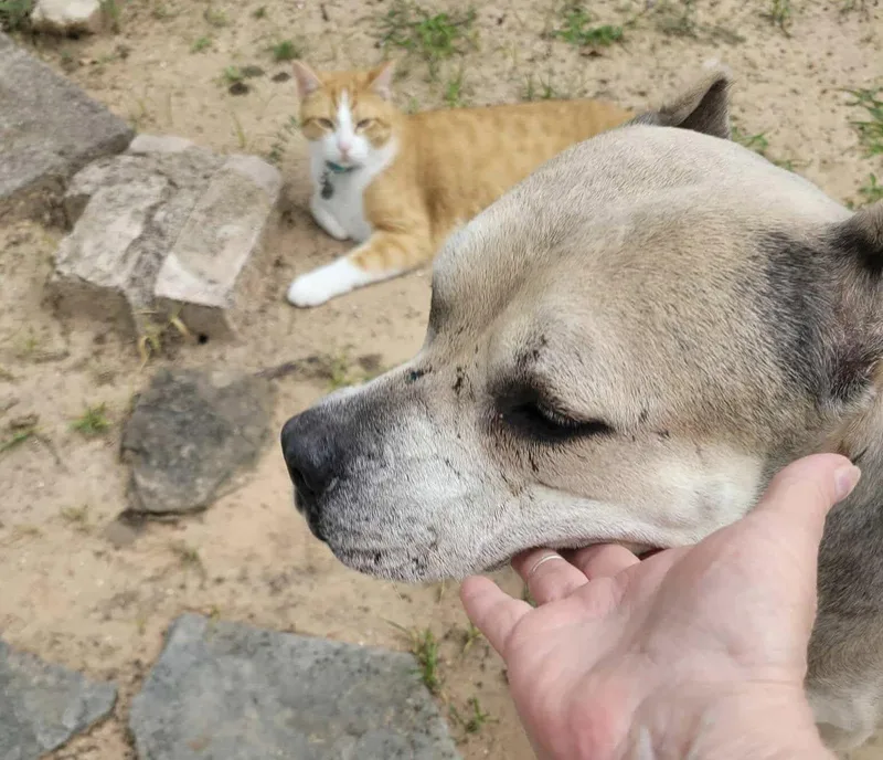 Athena Ab thumbnail 4