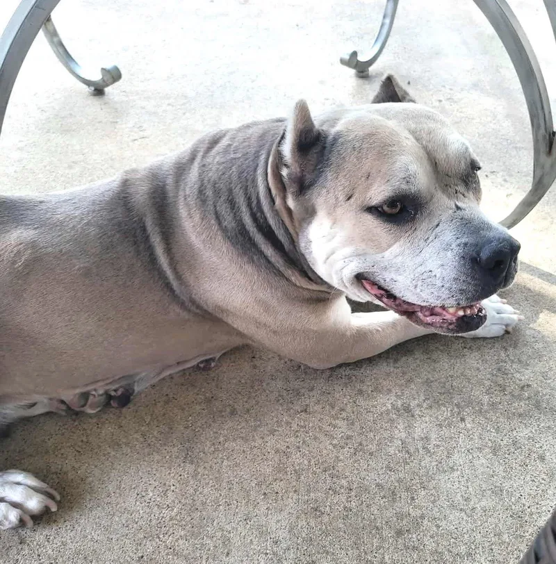 Athena Ab thumbnail 5