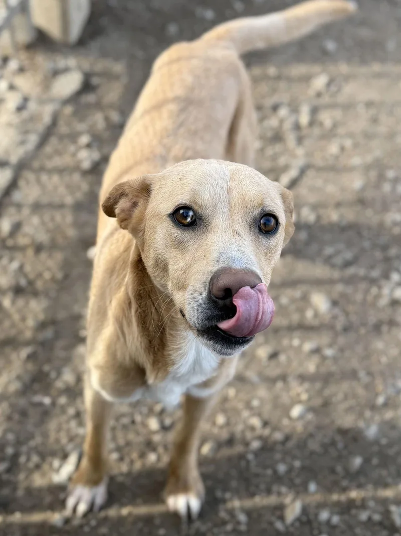 Snoop Dog thumbnail 3