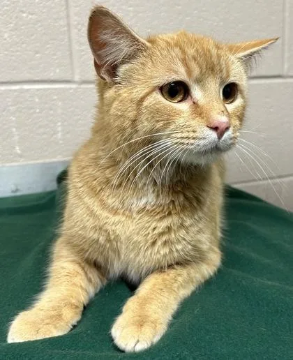 Johnny Utah thumbnail 2