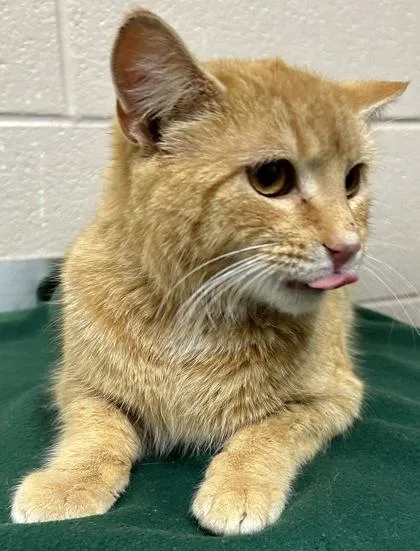 Johnny Utah thumbnail 3