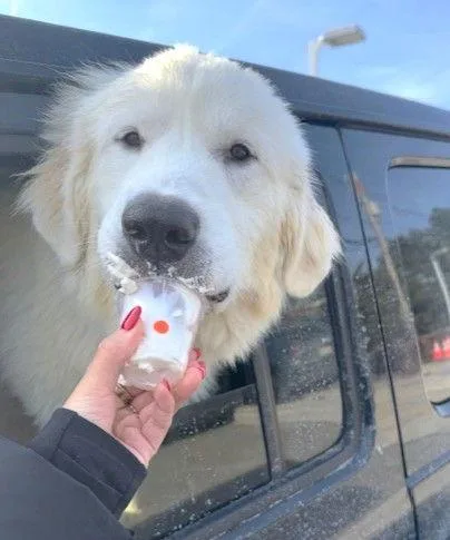 Xp Hank  Mountain thumbnail 2