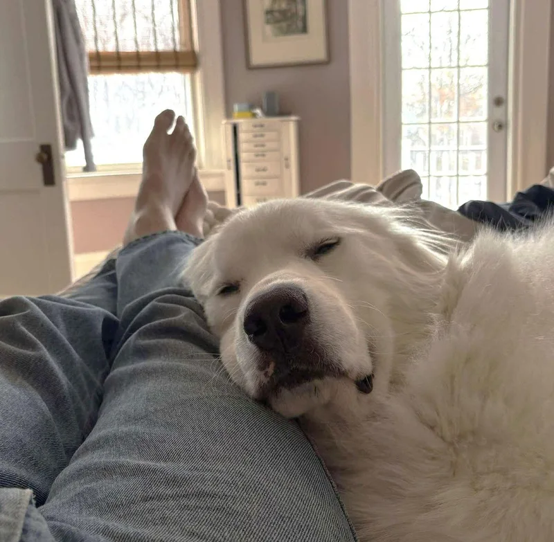 Xp Hank  Mountain thumbnail 3