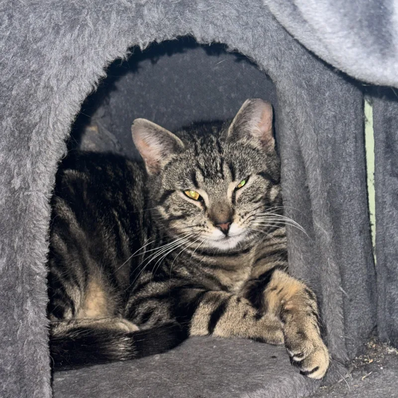 Little Miss Sunshine thumbnail 3