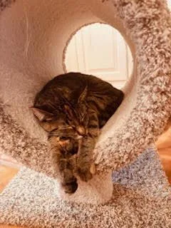 Little Missy thumbnail 2