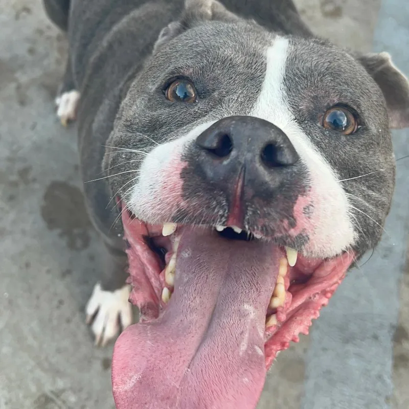 Guthrie City Of Industry