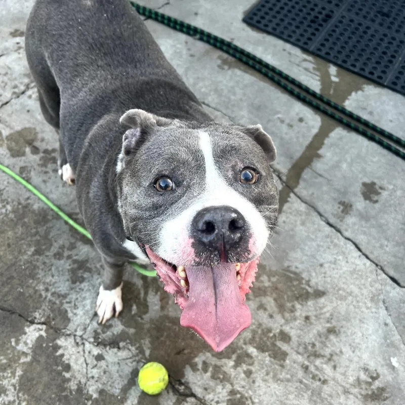 Guthrie City Of Industry thumbnail 2