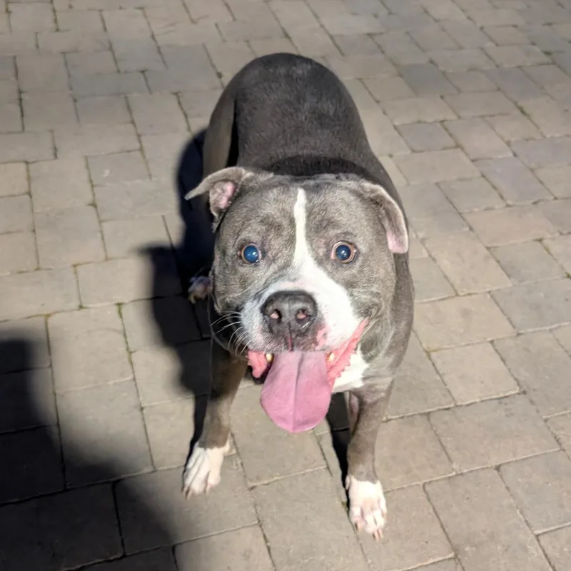 Guthrie City Of Industry thumbnail 4