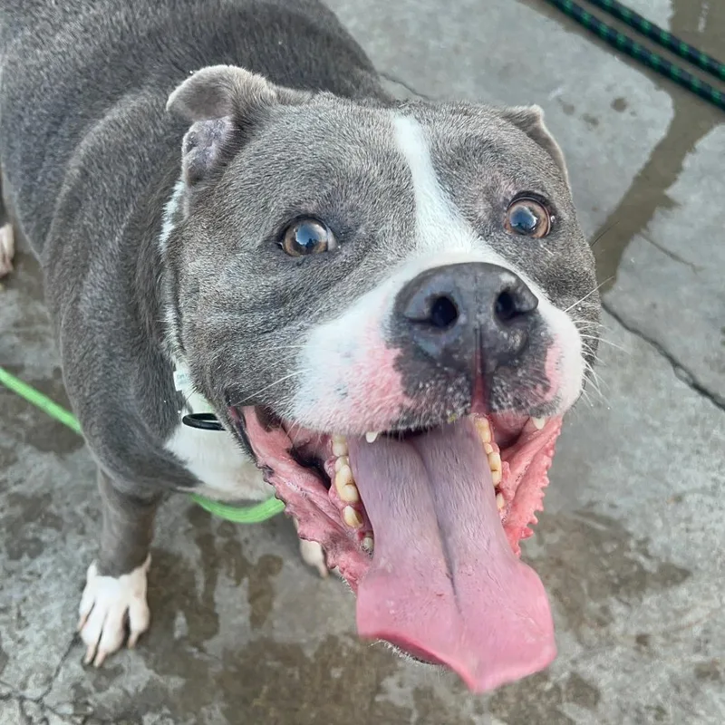 Guthrie City Of Industry thumbnail 5