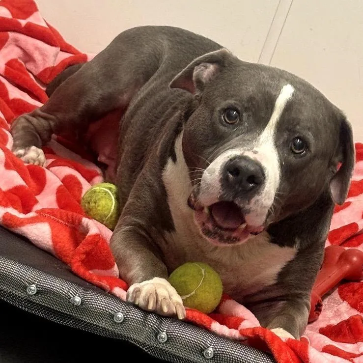 Guthrie City Of Industry thumbnail 6