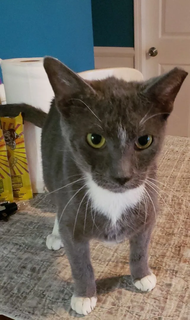 Buster A Special Boy thumbnail 2