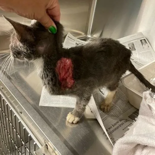 Buster A Special Boy thumbnail 3