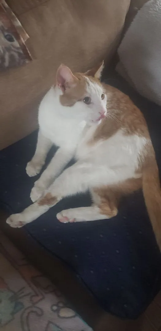 Christian thumbnail 2