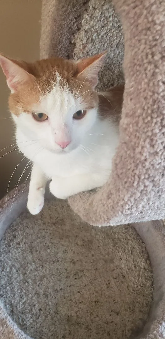 Christian thumbnail 3