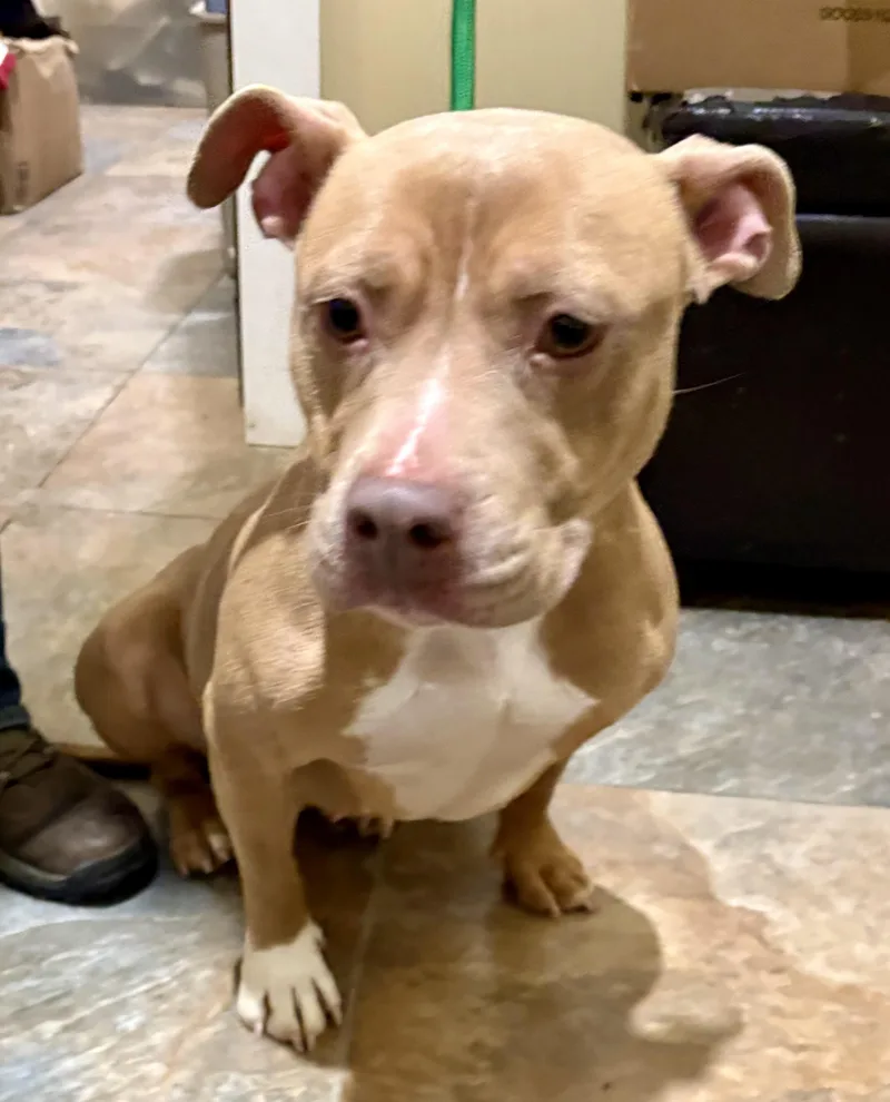 Lorraine thumbnail 2