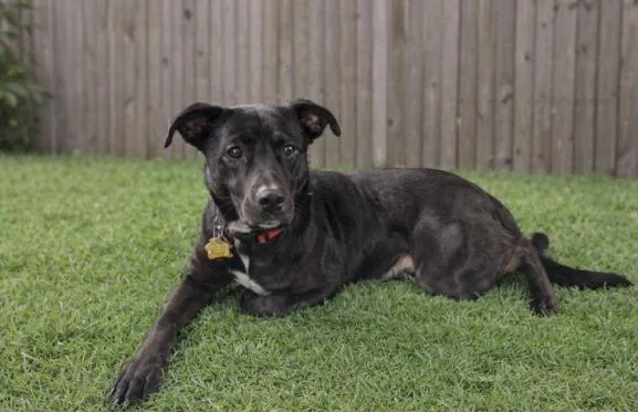 Charlotte thumbnail 2