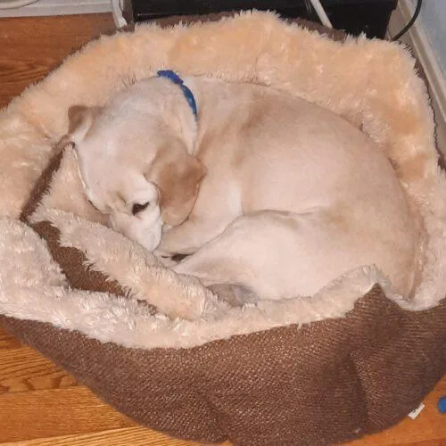 Glitter N thumbnail 2