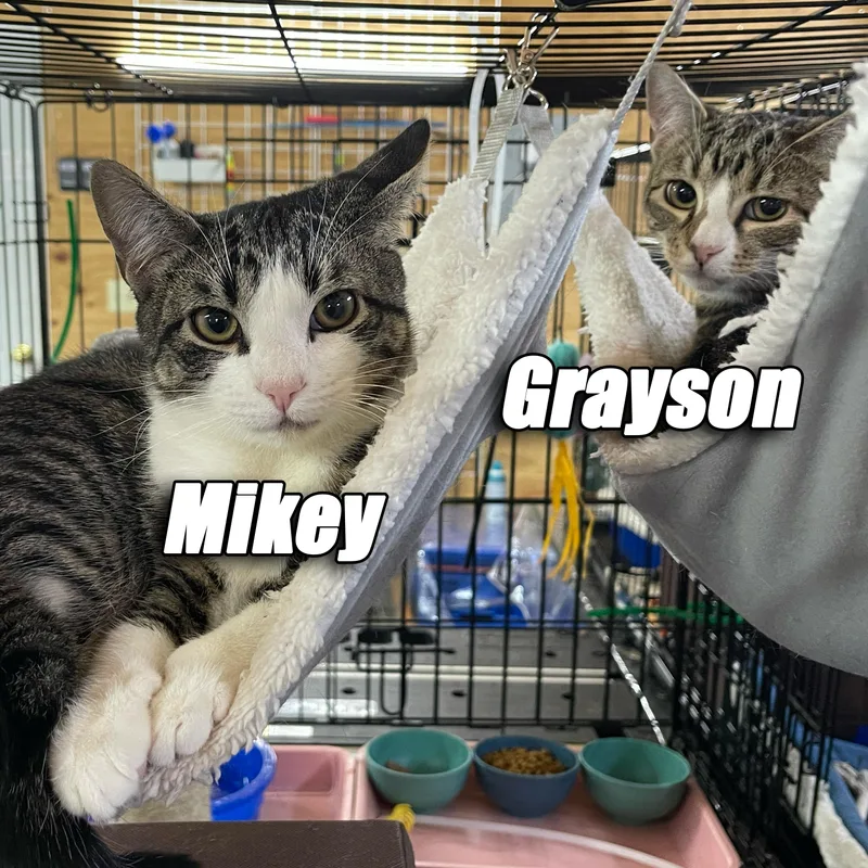 Grayson & Mikey