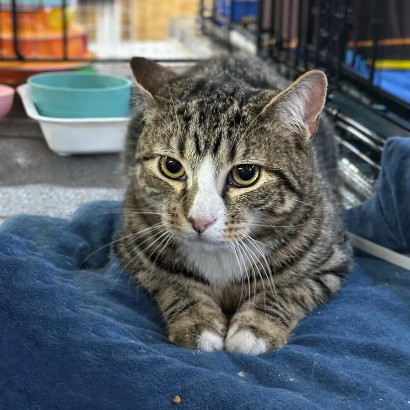 Grayson & Mikey thumbnail 2