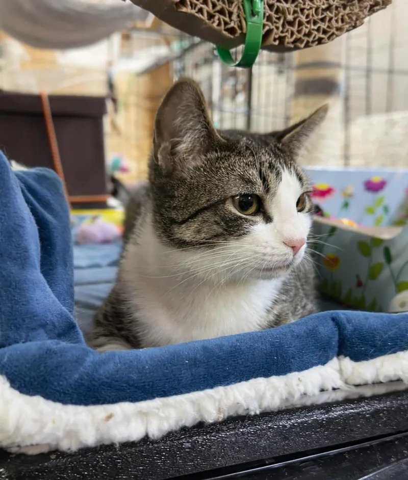 Grayson & Mikey thumbnail 3