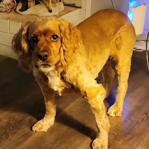 Reggie C thumbnail 2