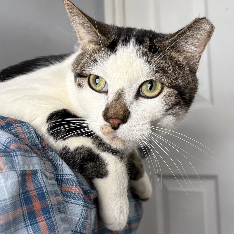 Scooter And Jack thumbnail 2