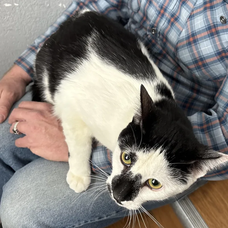 Scooter And Jack thumbnail 3