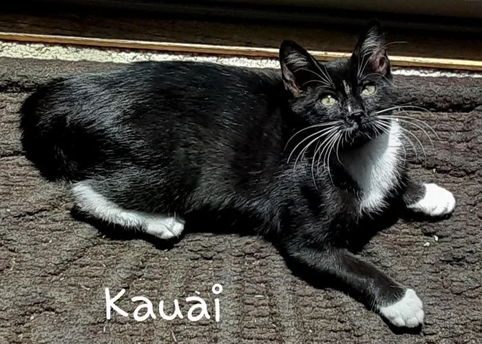 Kauai thumbnail 2