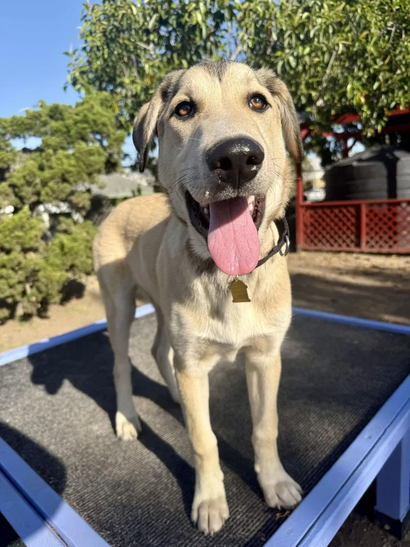 Sundance thumbnail 2