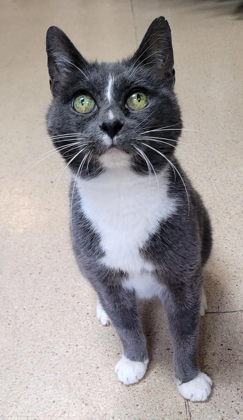 Florence thumbnail 2