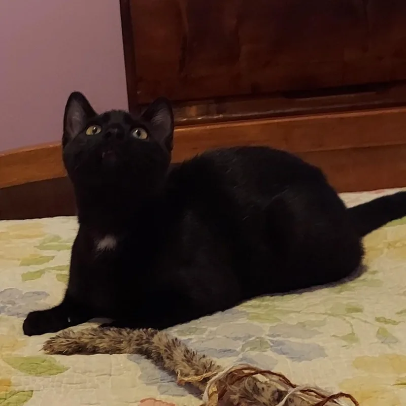 Sugarbaby thumbnail 2