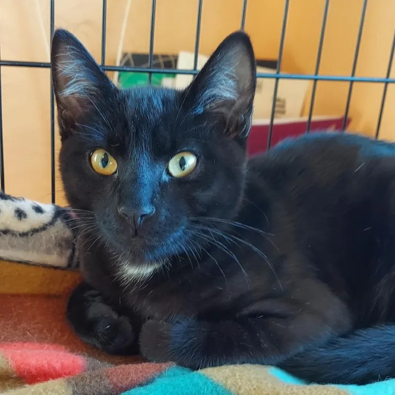 Sugarbaby thumbnail 3