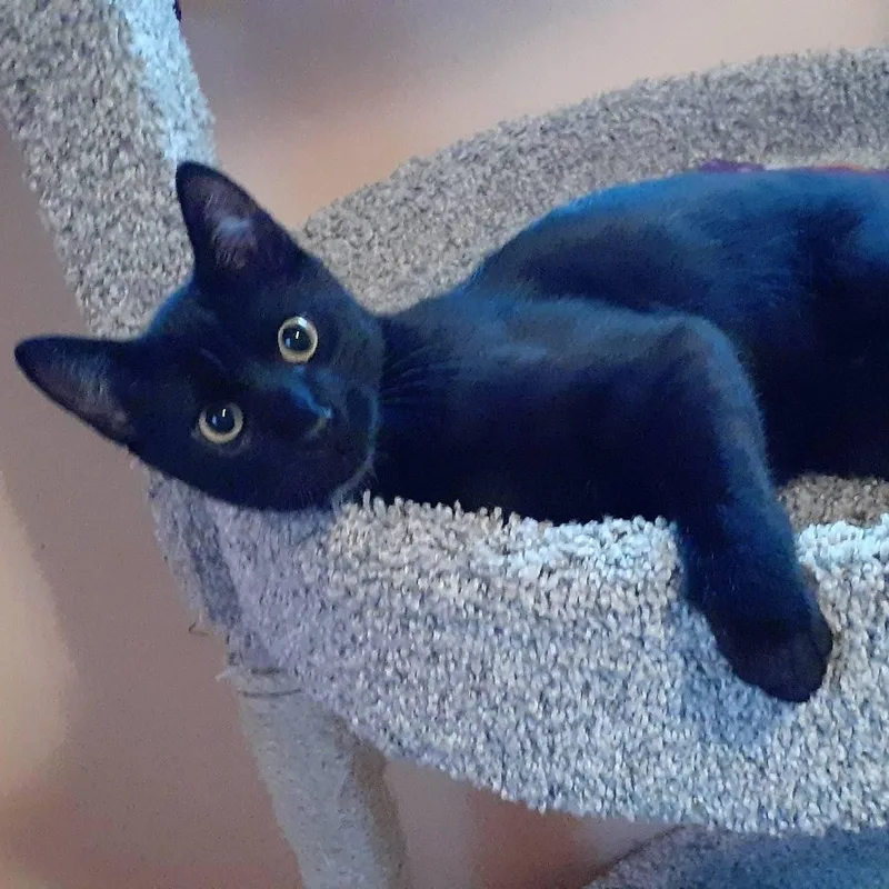 Sugarbaby thumbnail 4