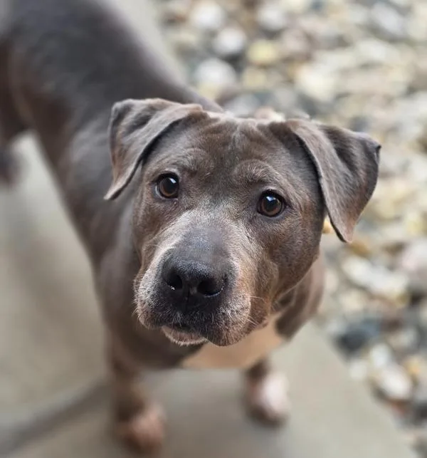 Princess Mami thumbnail 5