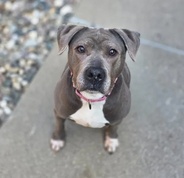 Princess Mami thumbnail 6