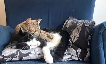 Zeus And Skye thumbnail 2