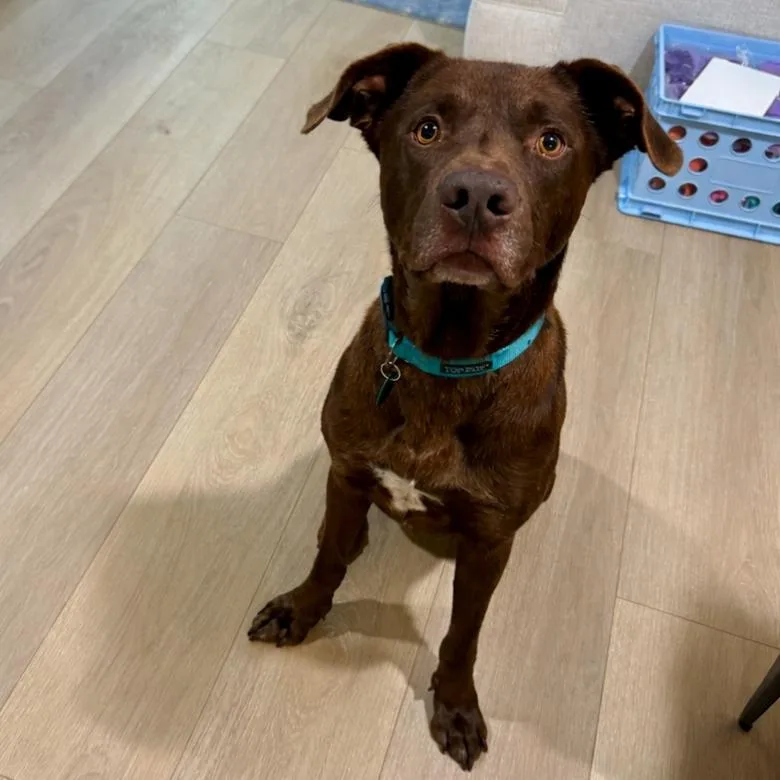 Myles Carter thumbnail 2