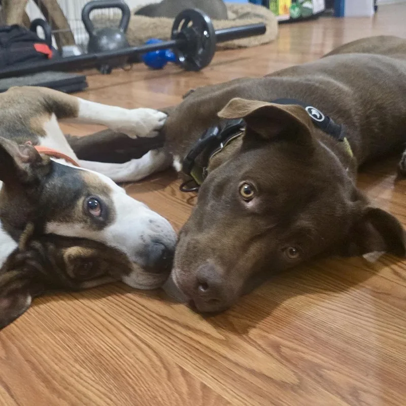 Myles Carter thumbnail 3