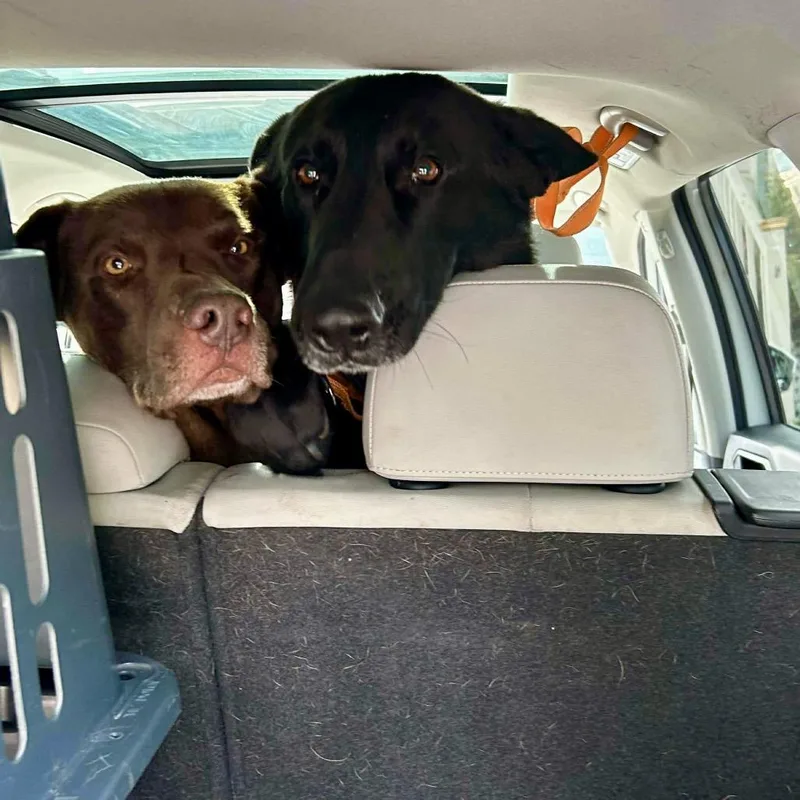 Myles Carter thumbnail 4