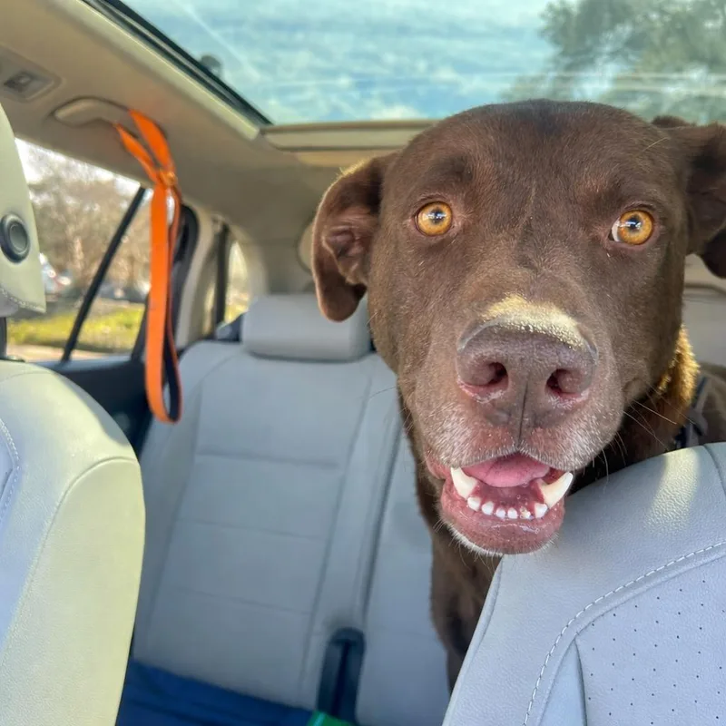 Myles Carter thumbnail 5