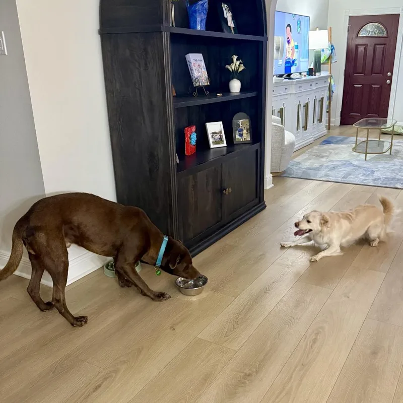 Myles Carter thumbnail 6