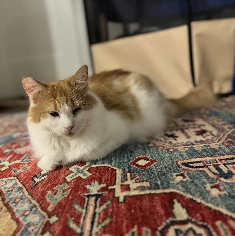 Clair De Lune & thumbnail 2