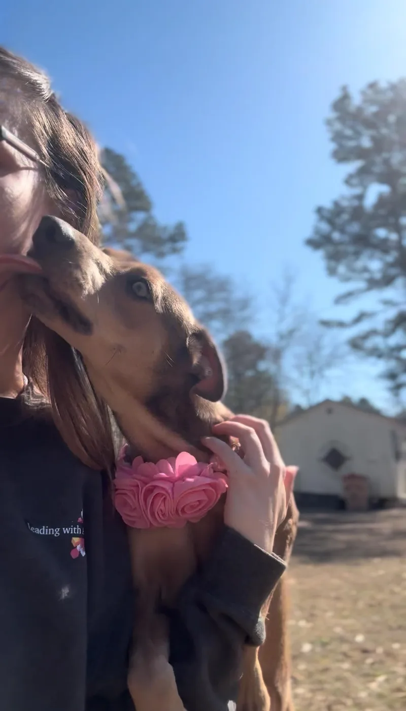 Jade Moon thumbnail 4