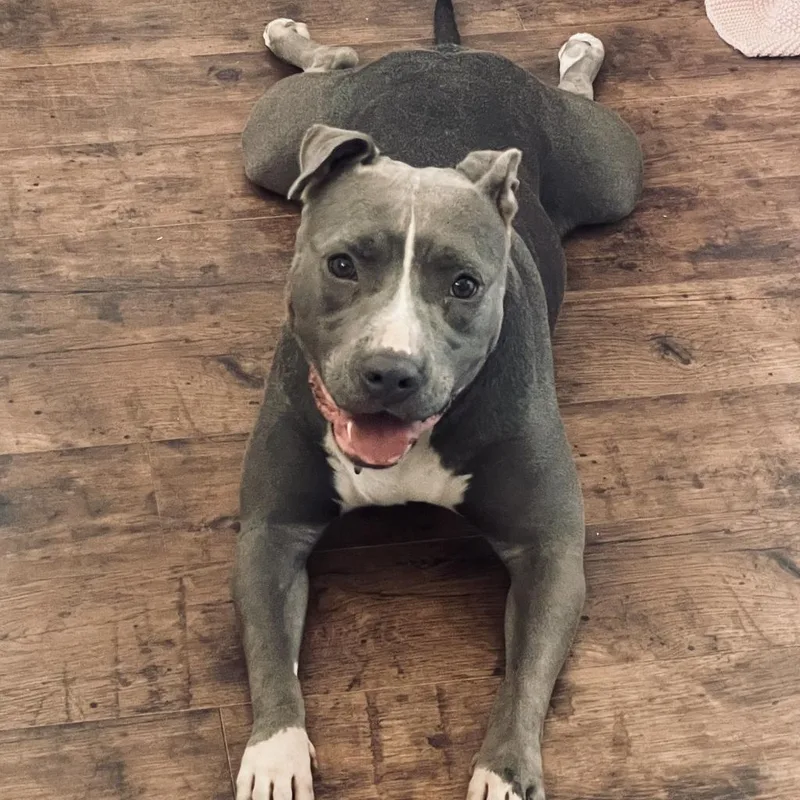 Cheerilee thumbnail 2