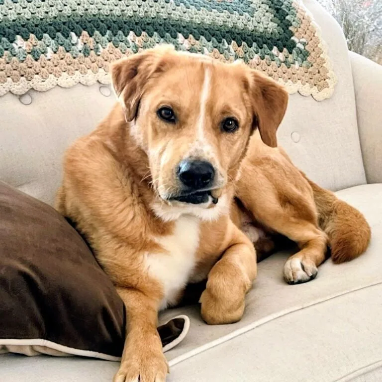 Aspen  In Nj thumbnail 2