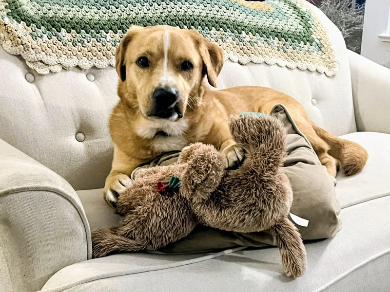 Aspen  In Nj thumbnail 3