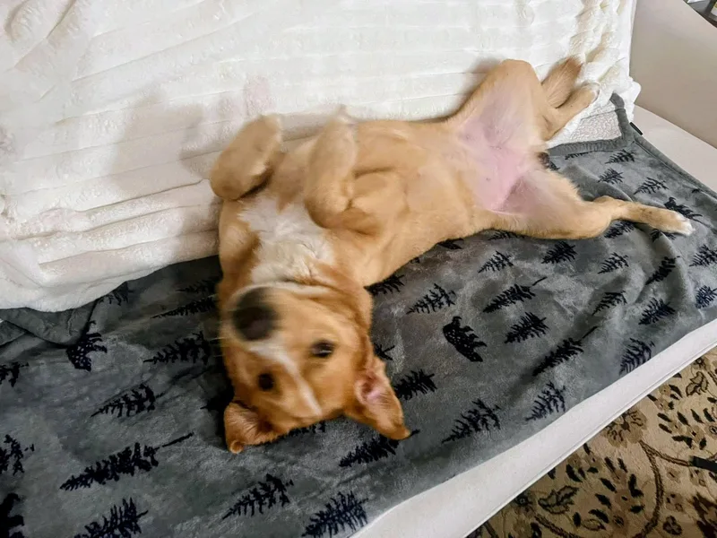 Aspen  In Nj thumbnail 4