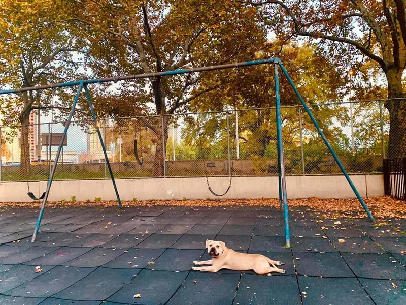 Axl Rose thumbnail 4