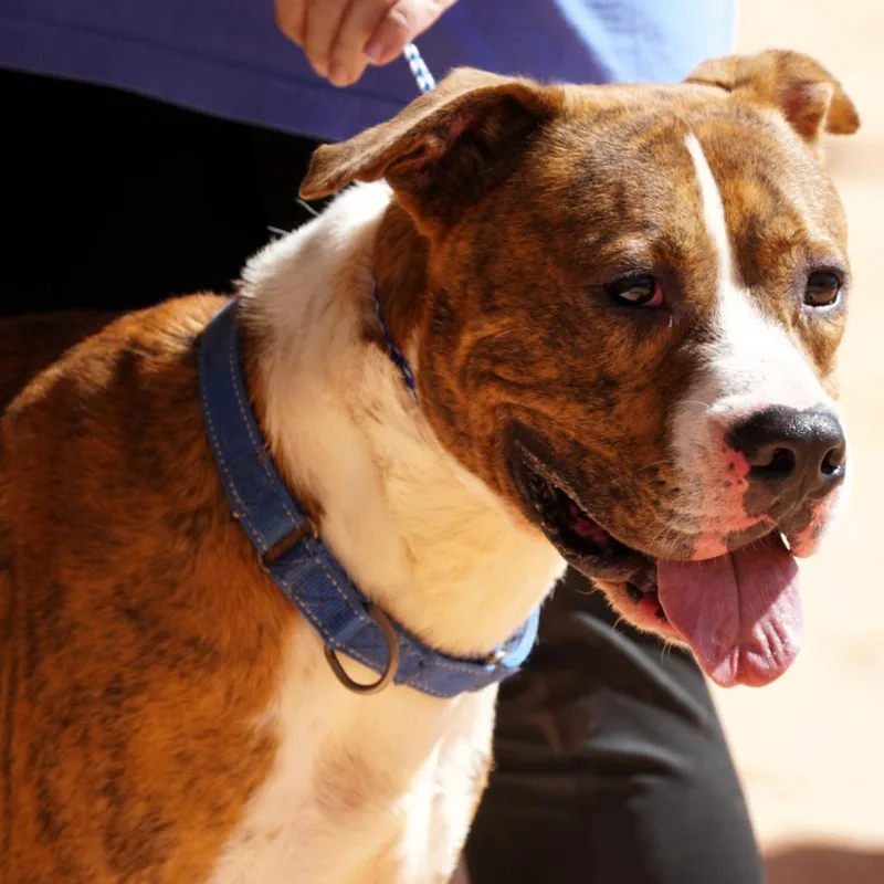 Hm Orlean thumbnail 2