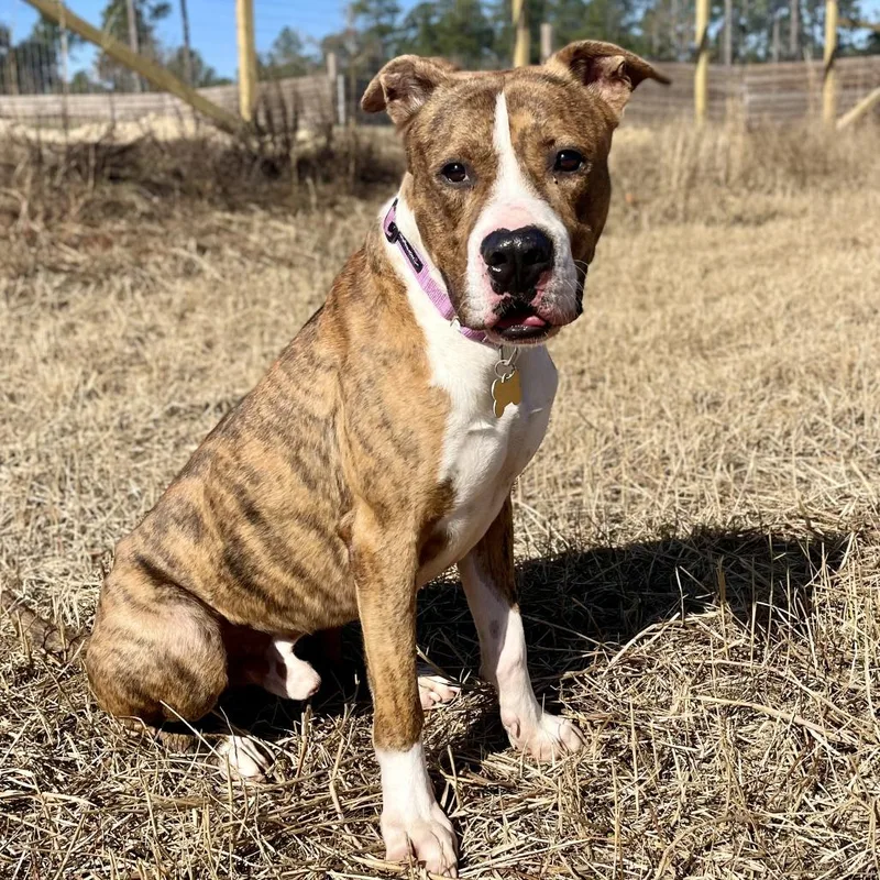 Hm Orlean thumbnail 3